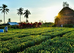 Check-in làng hoa kiểng lò gạch ở Bến Tre