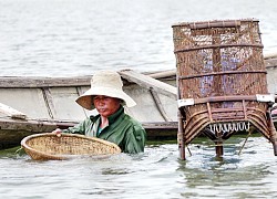 Đời don ở cuối sông Trà