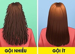 Gội đầu thường xuyên: Tưởng có lợi nhưng dễ khiến tóc hư tổn!