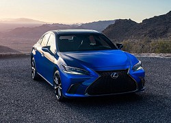 Lexus ES 250 F SPORT 2022 đã có giá bán chính thức, về đại lý cuối tháng 3