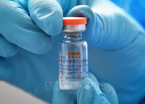 Brazil cho phép sử dụng vaccine Coronavac của Trung Quốc cho trẻ em