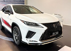 3 dòng xe Lexus F Sport chính hãng hướng tới khách trẻ