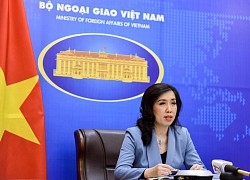 Người phát ngôn Bộ Ngoại giao nói về vụ máy bay Việt Nam bị đe dọa bắn hạ