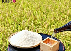 Niigata - "Vương quốc rượu Sake" nổi tiếng của Nhật Bản