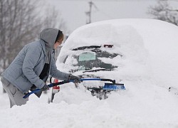 Phát hiện 4 người tử vong vì giá lạnh ở gần biên giới Mỹ - Canada