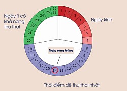 Quan hệ tình dục thời điểm nào dễ mang thai?