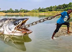 Quẳng túi cát được buộc sợi xích xuống sông, người đàn ông thu hoạch đầy bất ngờ sau đó