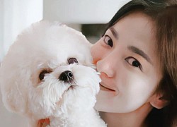 Song Hye Kyo "xuống tóc" xinh xỉu hậu hết phim, nhưng ảnh cận mặt bóc sạch cả tá dấu hiệu lão hóa