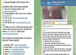 "Tú ông" 2K cầm đầu đường dây môi giới mại dâm "Sugar Baby" gắn mác sinh viên, nhân viên công sở, đáp ứng nhu cầu khách "hảo ngọt"