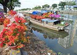 Chợ hoa 'trên bến dưới thuyền' ở bến Bình Đông bắt đầu nhộn nhịp