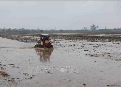 Gần 80% diện tích đã có nước cho vụ Đông Xuân