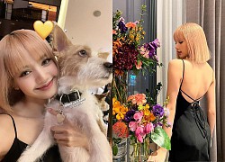 Lisa (BLACKPINK) đốt &#8220;cháy&#8221; MXH với khoảnh khắc khoe lưng trần gợi cảm