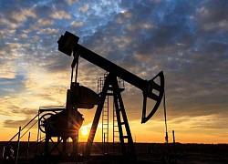 Năng lực sản xuất suy yếu của OPEC+ có thể đẩy giá dầu vượt 100 USD/thùng