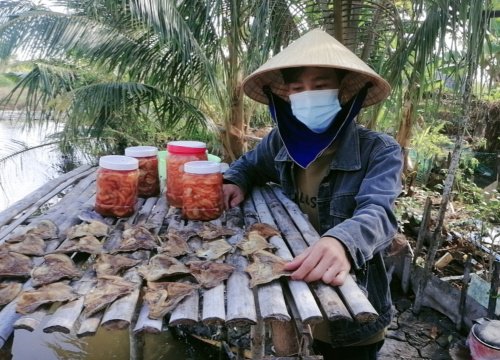 Người miền Tây hồi hương: 55.000 người về lại Cà Mau, chỉ mong đón Tết đủ người thân