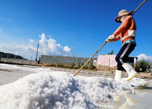 Nhà nào cũng ăn hạt này, nhưng doanh nghiệp "than" không phát triển được, diêm dân thì lần lượt bỏ nghề