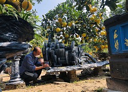 Nông sản phục vụ Tết Nguyên đán 2022: Đem mía tím, đu đủ bonsai vào chậu, nhà vườn "cháy" hàng