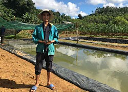 Nuôi con đặc sản cho ăn toàn thứ rẻ tiền, nào ngờ trai làng Đắk Nông bắt bán hàng tấn, giàu hẳn lên