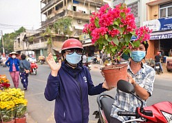 Sắc xuân đã về trên bến Bình Đông