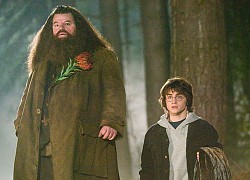 Sợ hãi bằng chứng Hagrid ở Harry Potter thật ra là Tử Thần Thực Tử: Nghe cũng hợp lý, fan Việt "đáp trả" ngay!