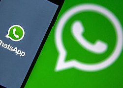 WhatsApp sắp cho phép di chuyển lịch sử trò chuyện giữa Android và iOS