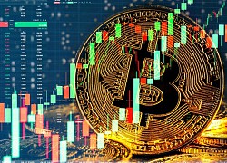 Giá Bitcoin bật tăng nhưng nhà đầu tư vẫn thấp thỏm lo âu vì nỗi sợ trực chờ trước mắt