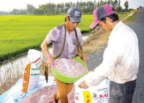 Giá phân bón tăng chạm nóc, Bộ trưởng Bộ NNPTNT đề nghị doanh nghiệp giữ cam kết, nông dân dùng tiết kiệm