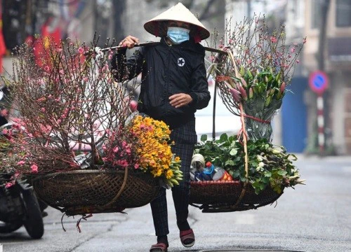 Giáp Tết miền Bắc rét đậm, rét hại