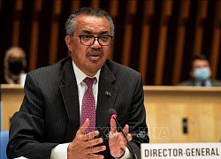 Ông Tedros Adhanom Ghebreyesus được đề cử tiếp tục lãnh đạo WHO