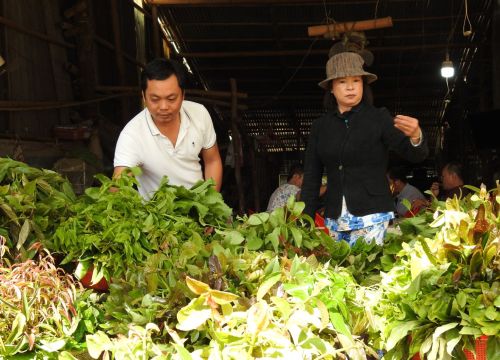 Rau rừng lạ mắt ăn kèm với bánh xèo ở An Giang, ăn xong khách còn mua đùm to đùm nhỏ về làm quà