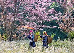 Sắc Xuân trên bản Mông