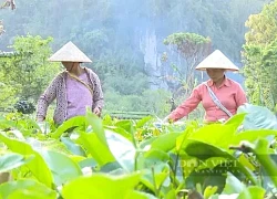 Tự nguyện ra khỏi danh sách hộ nghèo, bà con nông dân xã vùng cao của tỉnh Sơn La nói gì?