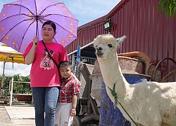 Du lịch trang trại ở Bạc Liêu