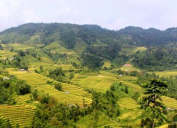 Hà Giang: Hoàng Su Phì "mùa vàng" vẫy gọi