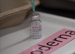 Hãng Moderna thúc giục Australia đặt mua vaccine COVID-19 cho năm 2023