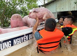 Hàng nghìn con gà bị chết do mưa lũ, cả xóm rủ nhau làm thịt giúp gia chủ