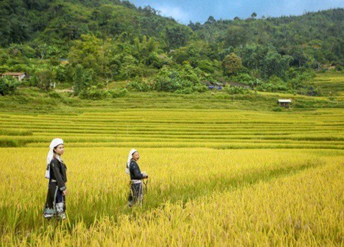 Hấp dẫn du lịch cộng đồng tại Hoài Khao (Cao Bằng)