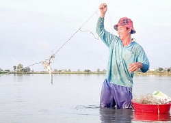 Long An mùa nước tràn đồng