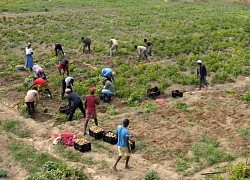 Quang Linh tặng khoai tây cho bà con: Hết lòng vì 1 Angola ấm no