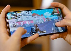 Ra mắt Vivo Y73t: Lý tưởng để chơi game, giá chỉ từ 4,6 triệu