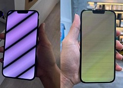 Sợ lỗi màn hình, khách hàng ngại mua iPhone 13 Pro Max