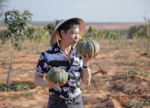 "Té ngửa" về thông tin ca sĩ Ngọc Sơn sở hữu 50 ha đất ở Bình Thuận