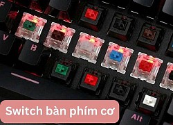 Tìm hiểu chi tiết về các loại Switch bàn phím cơ phổ biến hiện nay