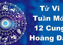 Tử vi 12 cung hoàng đạo tuần mới từ 3/10-9/10/2022