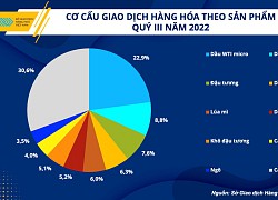 Vị trí dẫn đầu thị phần môi giới hàng hóa tại Việt Nam có sự thay đổi