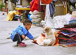 10 lý do tại sao bạn nên đi du lịch Tứ Xuyên ngay và luôn