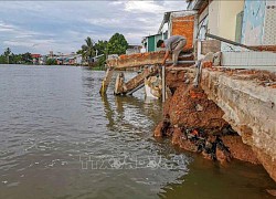 Cần Thơ: Đầu tư hơn 270 tỷ đồng xây kè chống sạt lở sông Trà Nóc