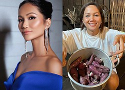 Cuộc sống hiện tại của H'Hen Niê - người đẹp được công nhận là Á hậu 3 Miss Universe 2018