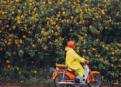 Đà Lạt - mùa của những "Nàng Thơ"