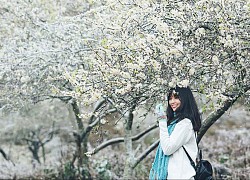 Du lịch Mộc Châu mùa xuân có gì đẹp