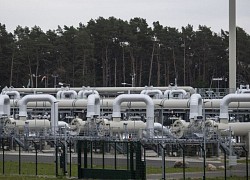 Giá gas hôm nay 29/10: Tiếp tục giảm nhờ dự trữ khí đốt vượt xa mục tiêu